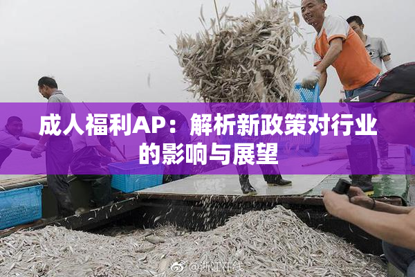 成人福利AP：解析新政策对行业的影响与展望