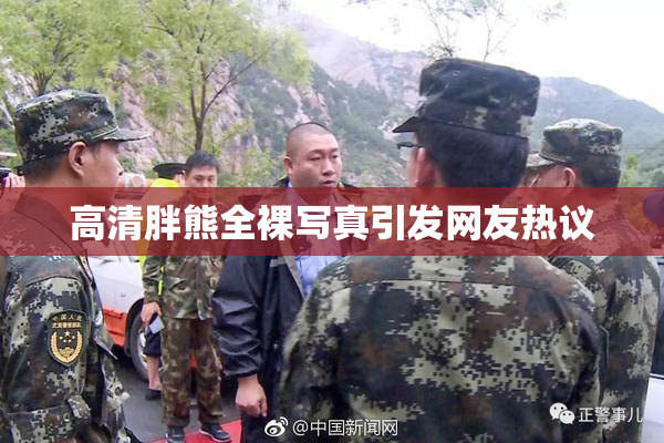 高清胖熊全裸写真引发网友热议