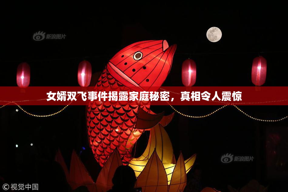 女婿双飞事件揭露家庭秘密，真相令人震惊