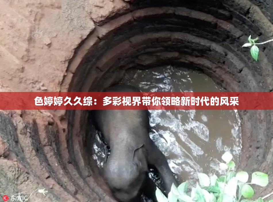 色婷婷久久综：多彩视界带你领略新时代的风采