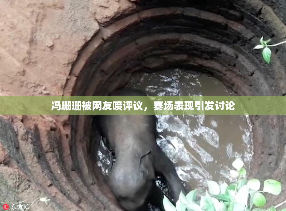 冯珊珊被网友喷评议，赛场表现引发讨论
