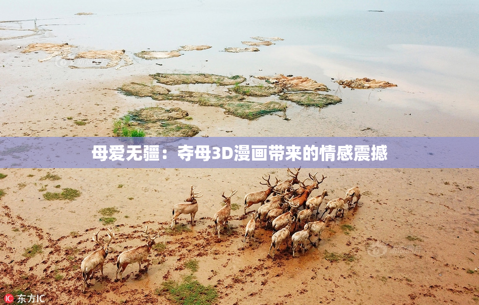 母爱无疆：夺母3D漫画带来的情感震撼