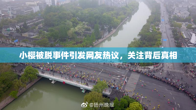 小樱被脱事件引发网友热议，关注背后真相