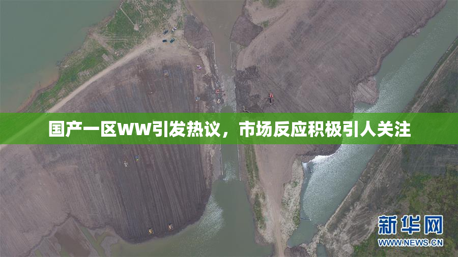 国产一区WW引发热议，市场反应积极引人关注
