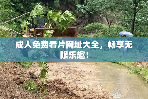 成人免费看片网址大全，畅享无限乐趣！