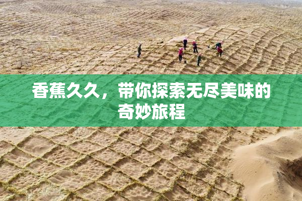 香蕉久久，带你探索无尽美味的奇妙旅程