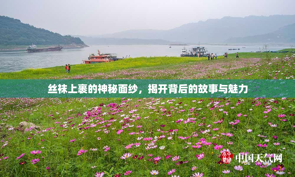 丝袜上裹的神秘面纱，揭开背后的故事与魅力