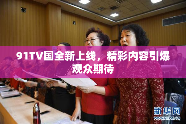 91TV国全新上线，精彩内容引爆观众期待