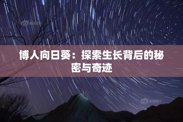 博人向日葵：探索生长背后的秘密与奇迹