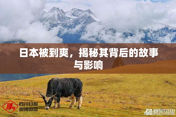 日本被到爽，揭秘其背后的故事与影响
