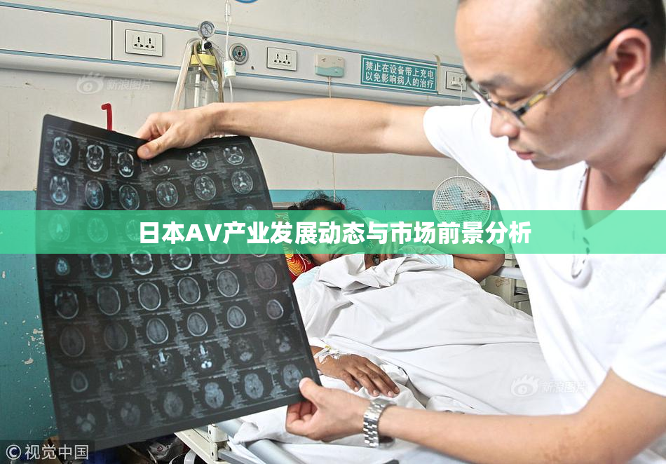 日本AV产业发展动态与市场前景分析