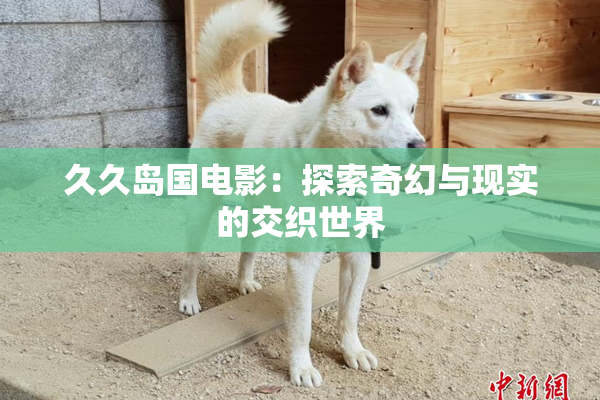 久久岛国电影：探索奇幻与现实的交织世界