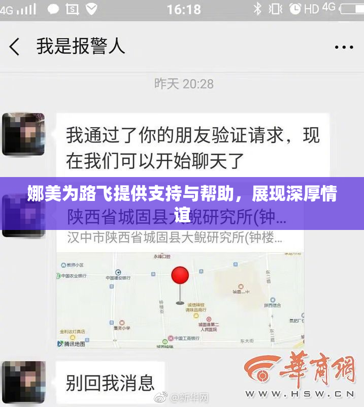 娜美为路飞提供支持与帮助，展现深厚情谊
