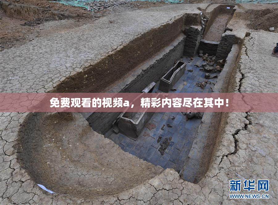 免费观看的视频a，精彩内容尽在其中！
