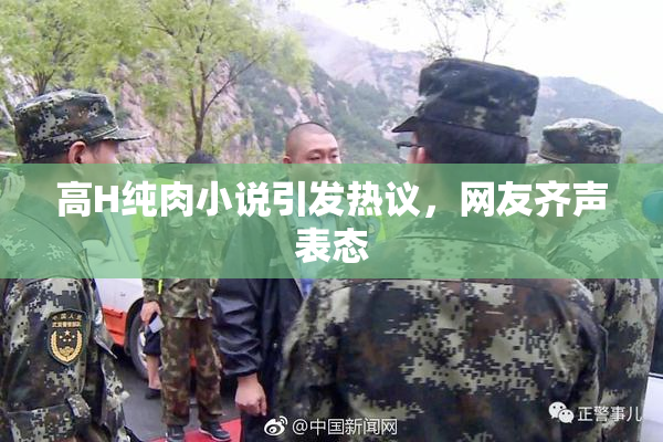 高H纯肉小说引发热议，网友齐声表态