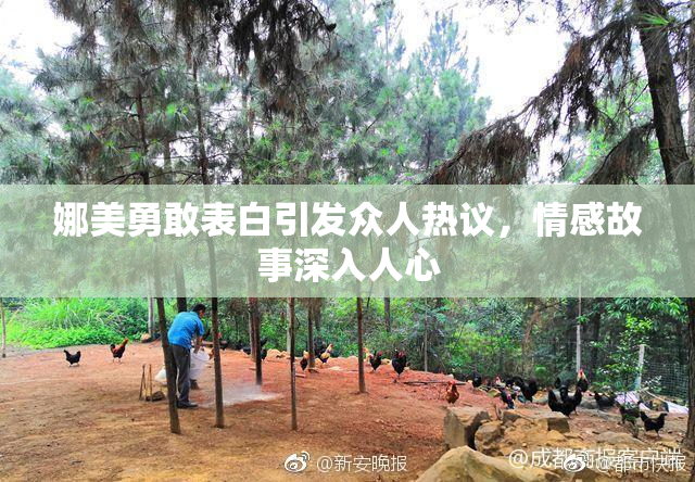 娜美勇敢表白引发众人热议，情感故事深入人心