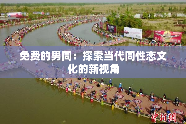 免费的男同：探索当代同性恋文化的新视角
