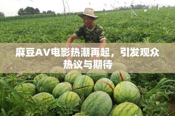 麻豆AV电影热潮再起，引发观众热议与期待