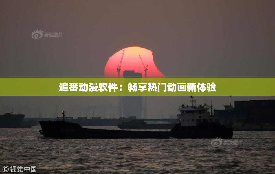 追番动漫软件：畅享热门动画新体验