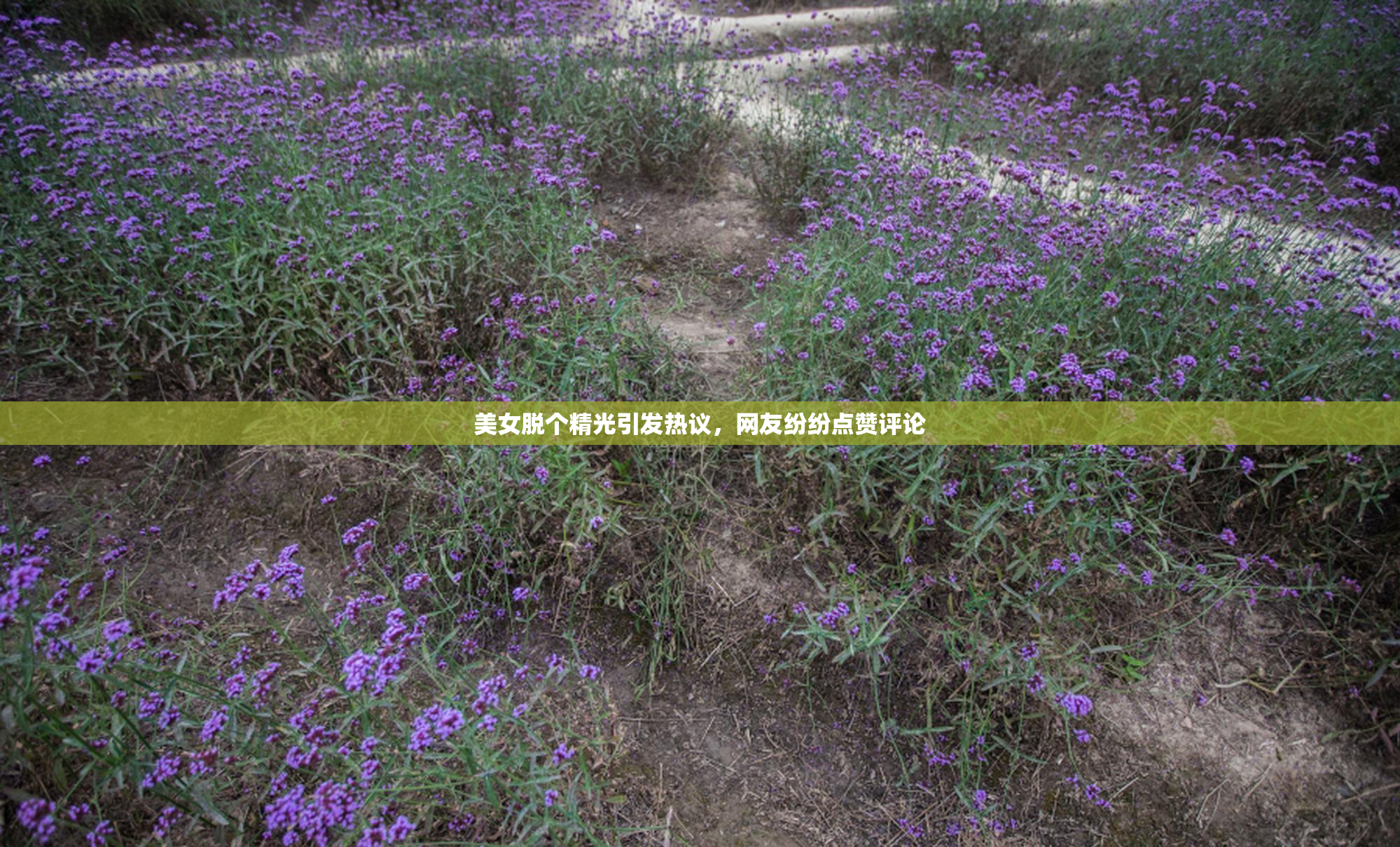 美女脱个精光引发热议，网友纷纷点赞评论