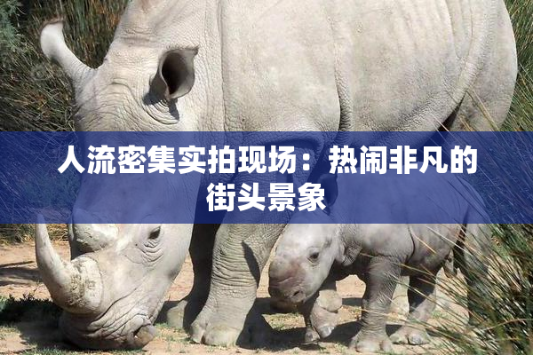 人流密集实拍现场：热闹非凡的街头景象