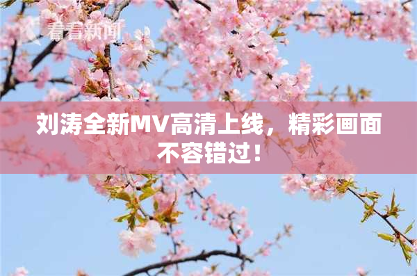 刘涛全新MV高清上线，精彩画面不容错过！