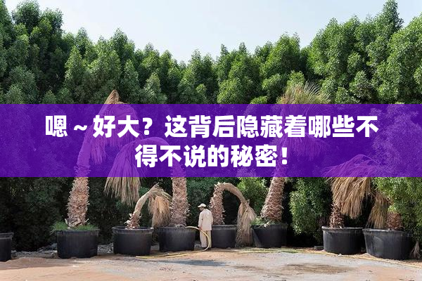 嗯～好大？这背后隐藏着哪些不得不说的秘密！