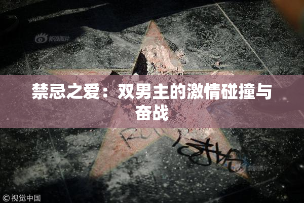 禁忌之爱：双男主的激情碰撞与奋战