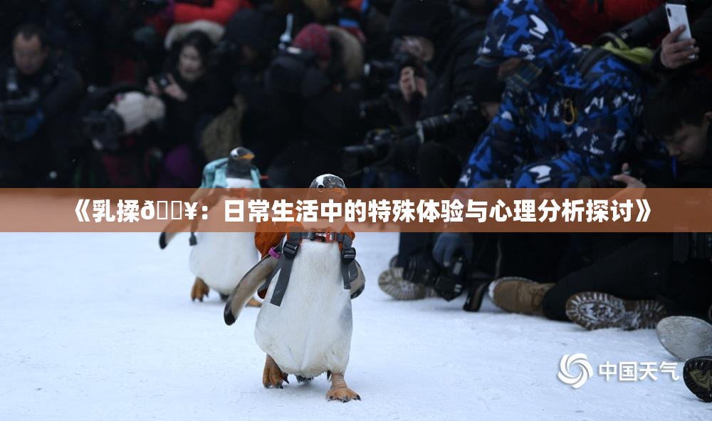 《乳揉🔥：日常生活中的特殊体验与心理分析探讨》