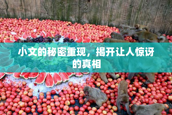 小文的秘密重现，揭开让人惊讶的真相
