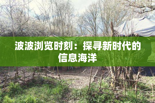 波波浏览时刻：探寻新时代的信息海洋