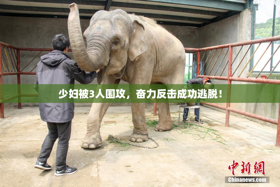 少妇被3人围攻，奋力反击成功逃脱！
