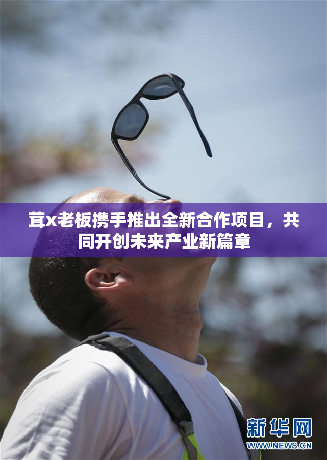 茸x老板携手推出全新合作项目，共同开创未来产业新篇章