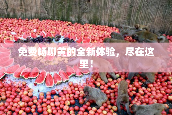 免费畅聊黄的全新体验，尽在这里！