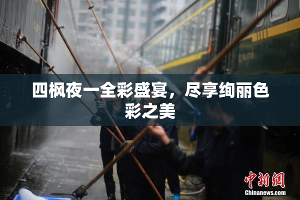 四枫夜一全彩盛宴，尽享绚丽色彩之美