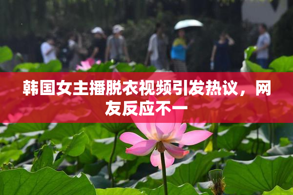 韩国女主播脱衣视频引发热议，网友反应不一
