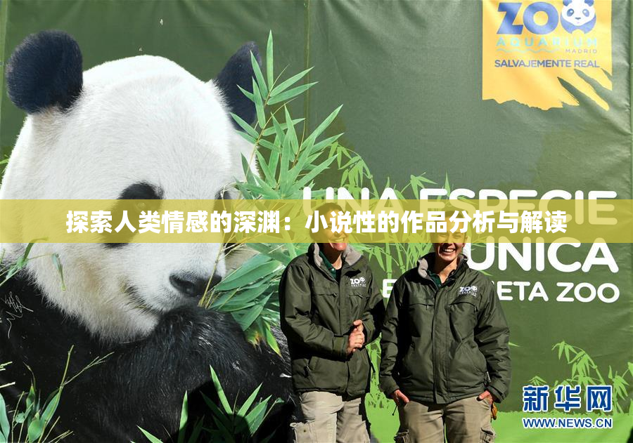 探索人类情感的深渊：小说性的作品分析与解读