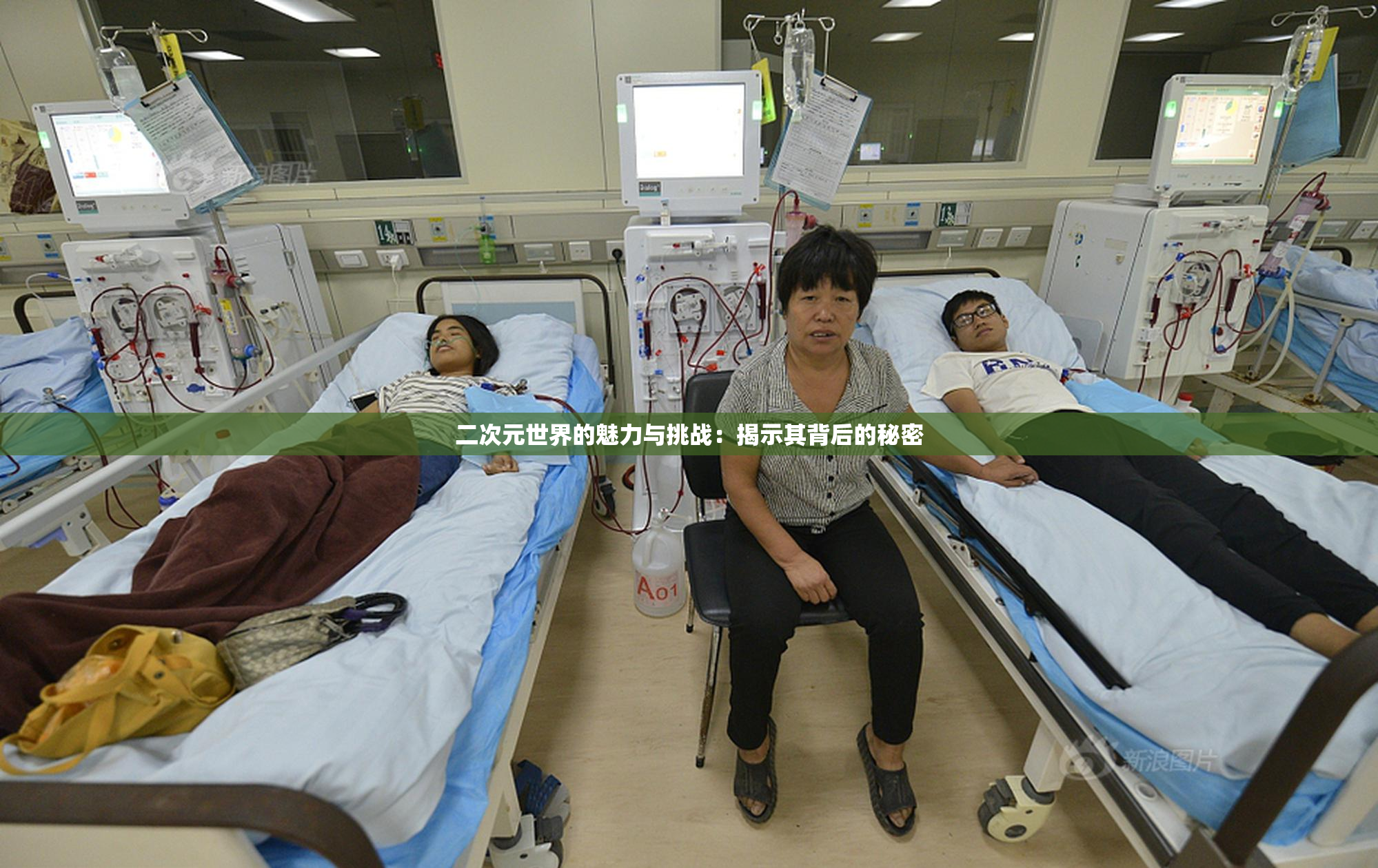 二次元世界的魅力与挑战：揭示其背后的秘密