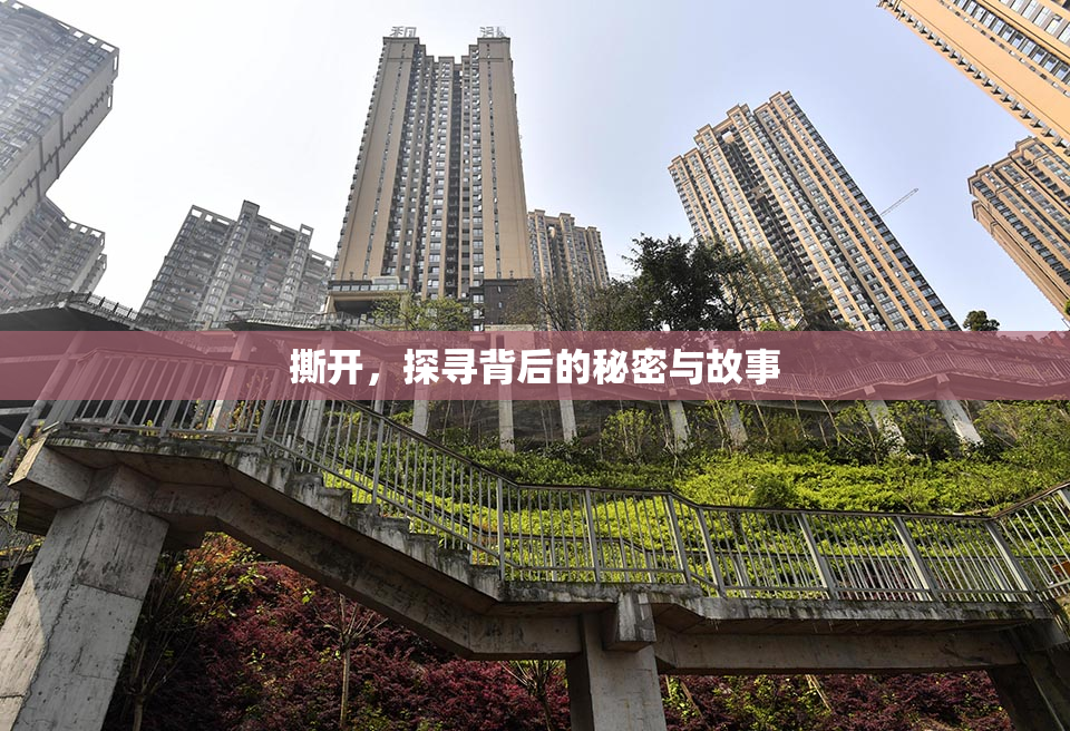 撕开，探寻背后的秘密与故事