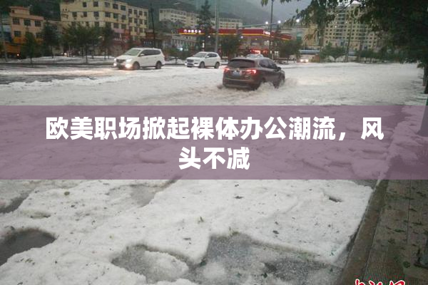 欧美职场掀起裸体办公潮流，风头不减