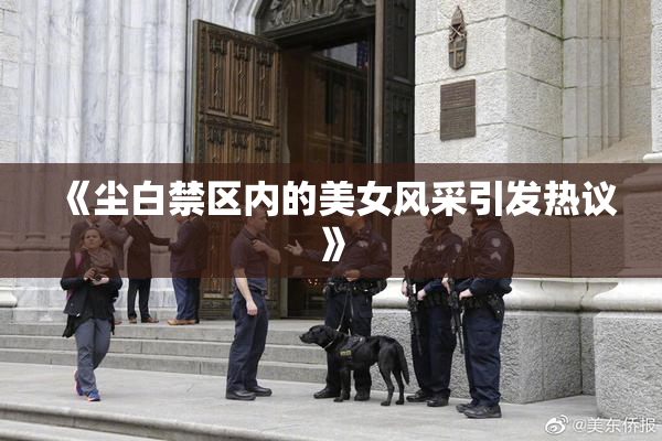 《尘白禁区内的美女风采引发热议》