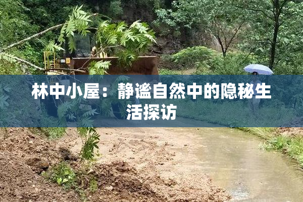 林中小屋：静谧自然中的隐秘生活探访
