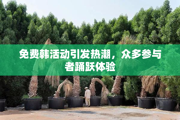 免费韩活动引发热潮，众多参与者踊跃体验
