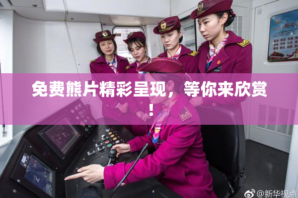 免费熊片精彩呈现，等你来欣赏！