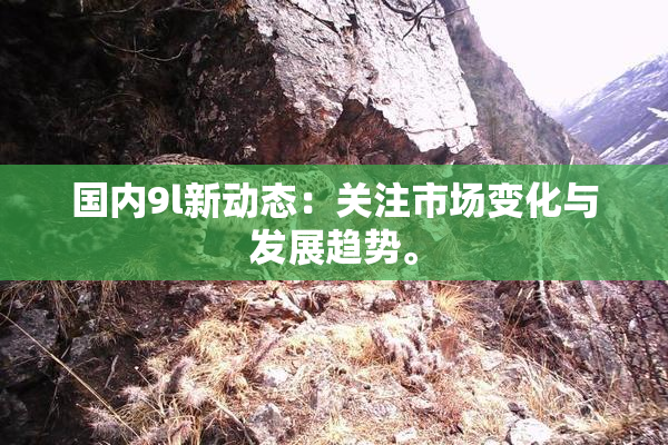 国内9l新动态：关注市场变化与发展趋势。
