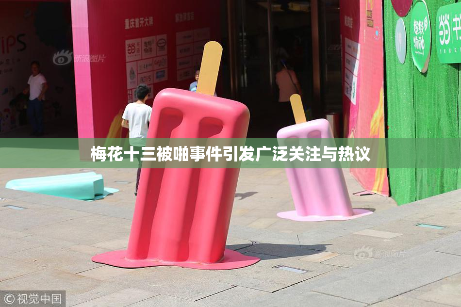 梅花十三被啪事件引发广泛关注与热议
