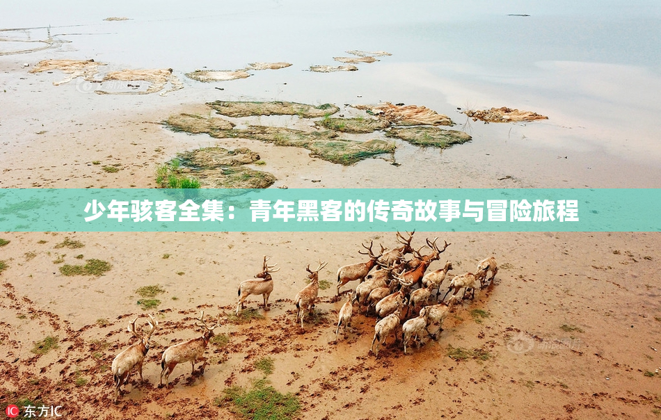 少年骇客全集：青年黑客的传奇故事与冒险旅程