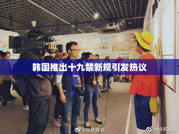 韩国推出十九禁新规引发热议