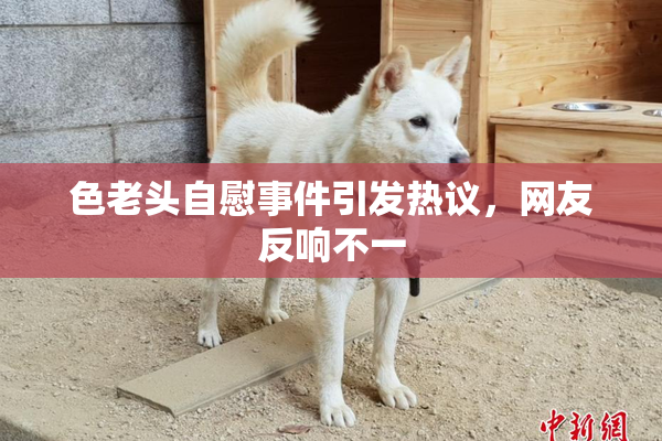色老头自慰事件引发热议，网友反响不一