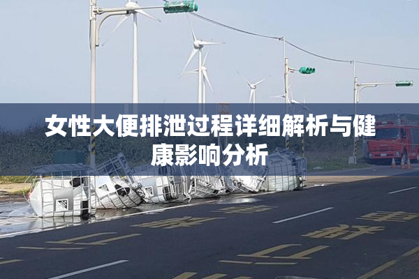女性大便排泄过程详细解析与健康影响分析